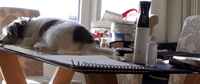 300D3D19-DB4E-4197-971E-21CD0AE7CA12